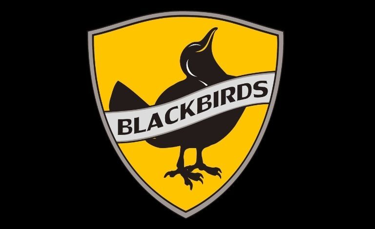 Blackbirds - Nibacos Tickets